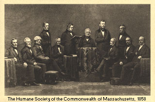 Click to enlarge